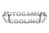 KIA 281664A160 Intercooler, charger